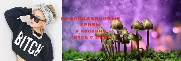 mdpv Алзамай