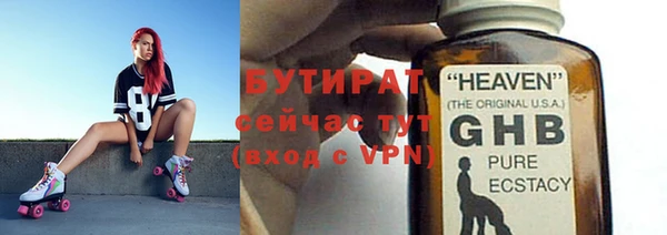 сатива Арсеньев