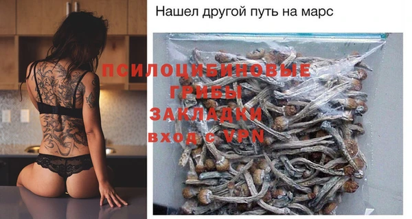 дживик Алексин