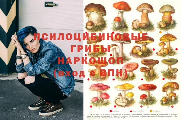 сатива Арсеньев