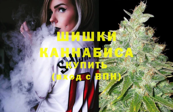 сатива Арсеньев