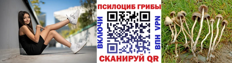 Галлюциногенные грибы прущие грибы Ахтубинск